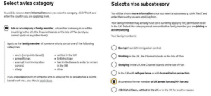 Screenshot - select a visa category and sub category